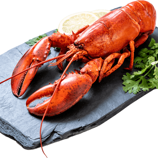 Tôm Hùm Alaska Ý Chí Food
