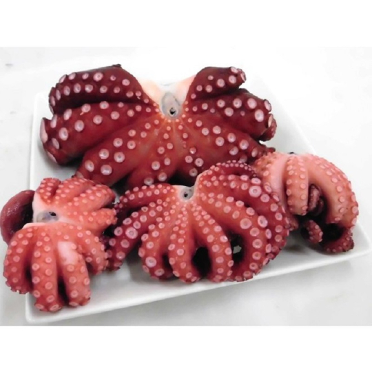 Bạch Tuộc Nhật (Chuẩn Sashimi) Ý Chí Food