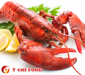 Tôm Hùm Alaska Ý Chí Food