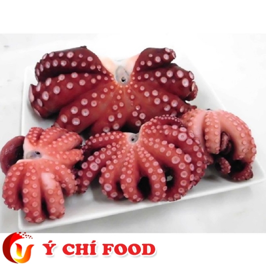 Bạch Tuộc Nhật (Chuẩn Sashimi) Ý Chí Food